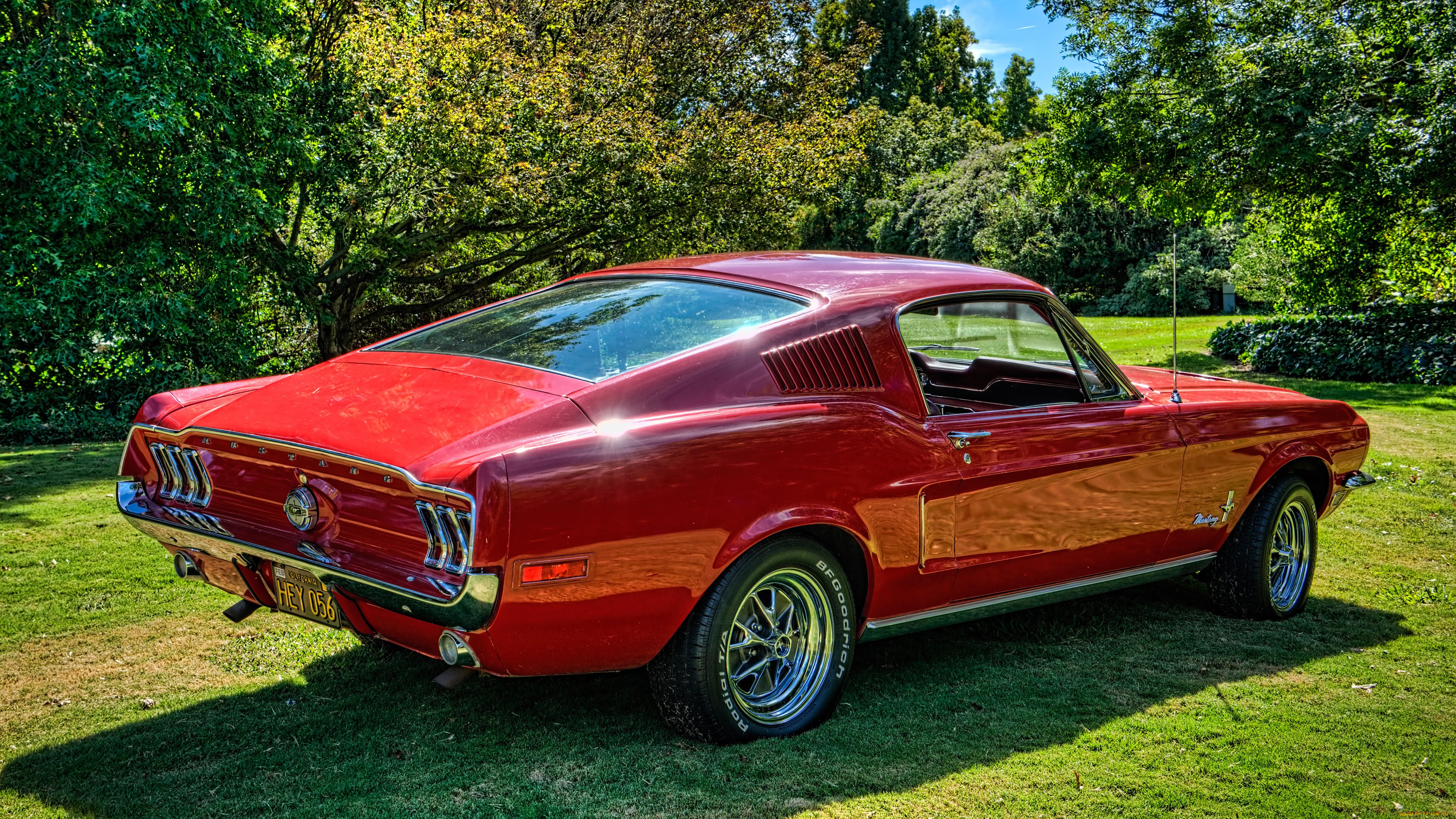, mustang, ford